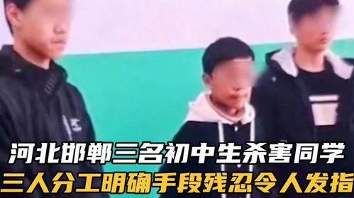 三个初中生杀死一面男孩最新爆料,三名初中生涉嫌杀害同龄男孩,案情细节曝光” 第2张 三个初中生杀死一面男孩最新爆料,三名初中生涉嫌杀害同龄男孩,案情细节曝光” 第2张